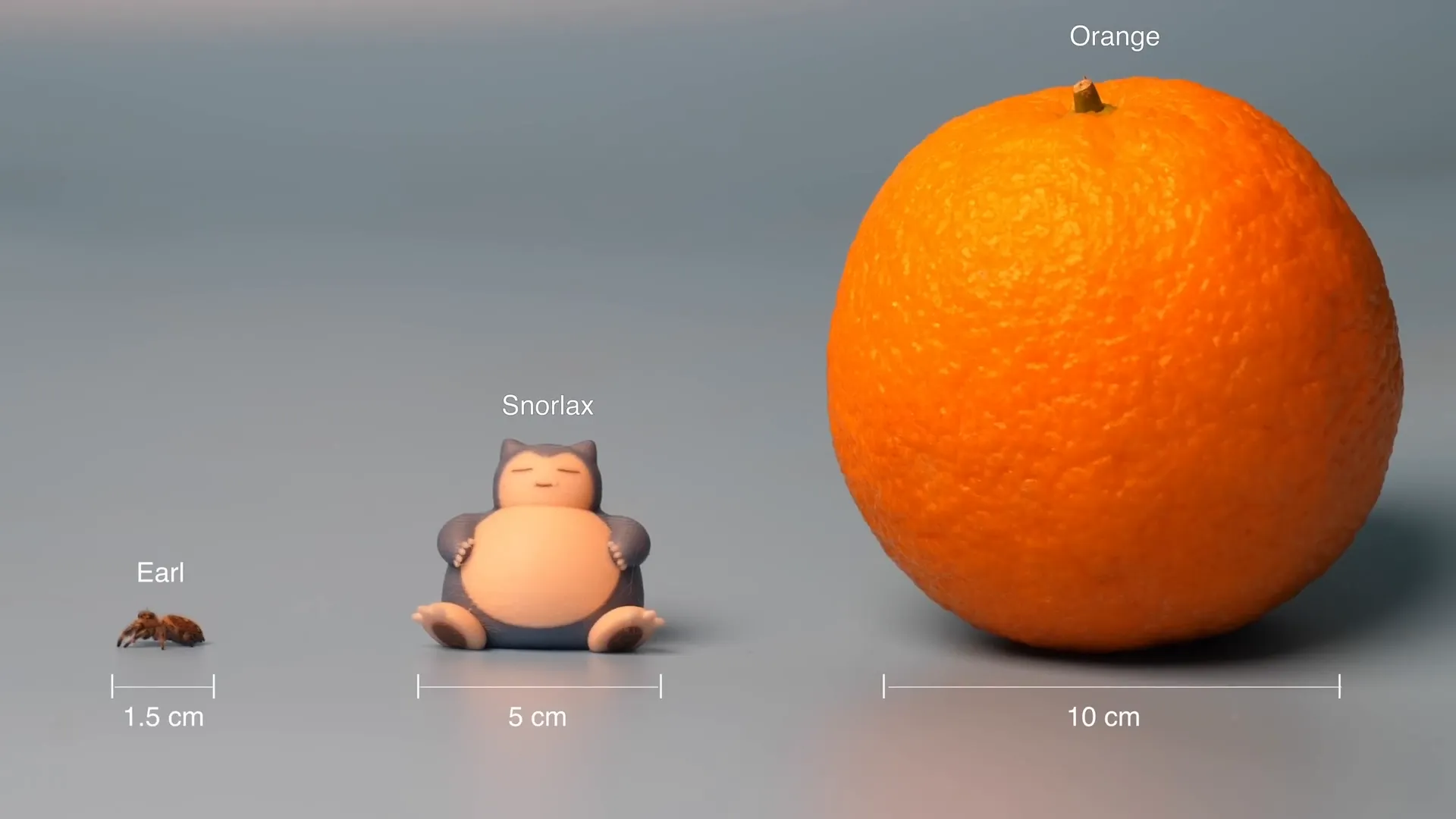 Tiny Spider Size next to an Orange