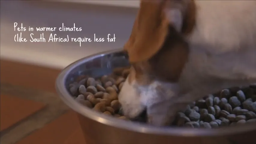 South African climate impact on pet nutrition