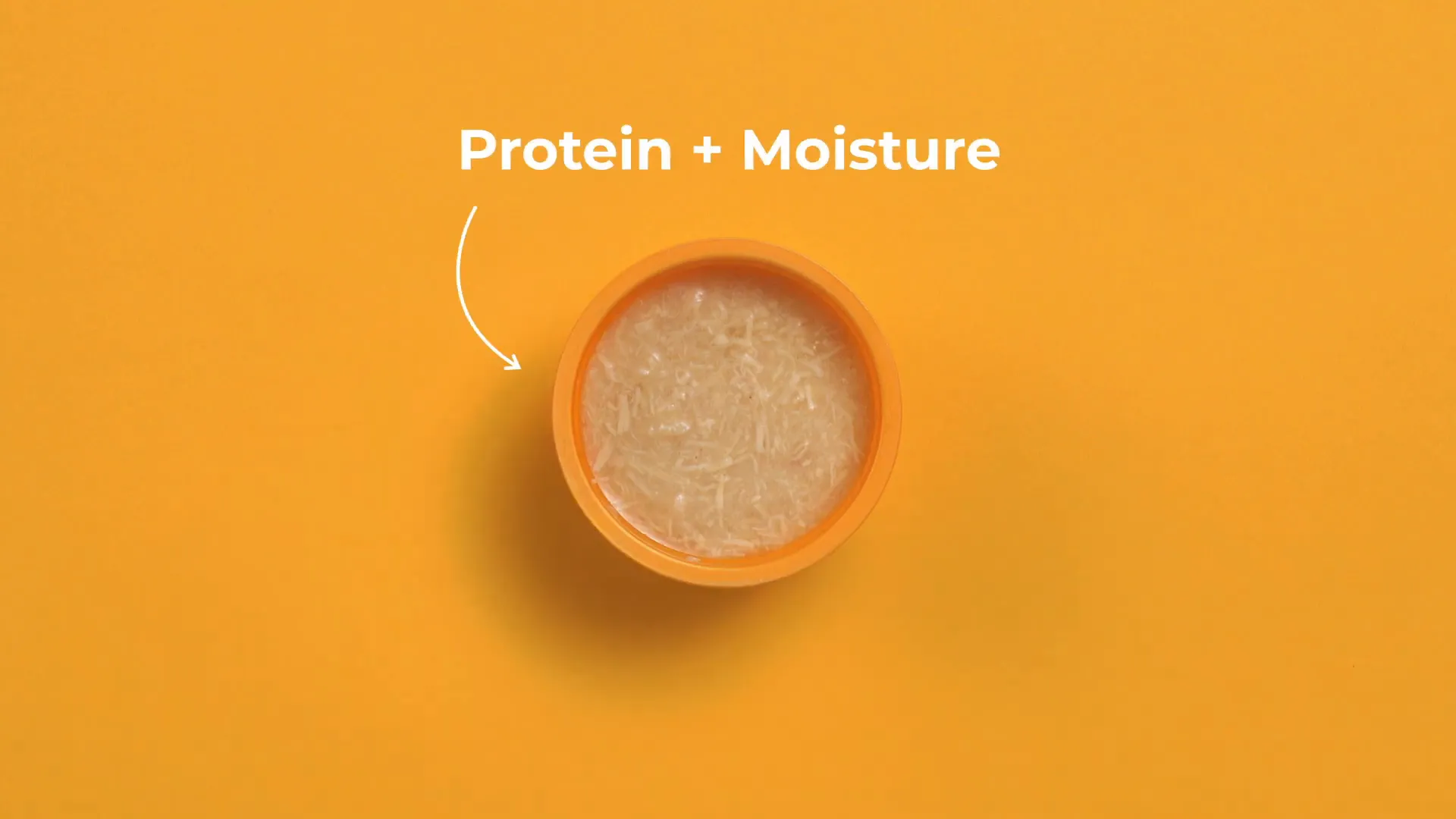 Cat eating from a bowl of wet food