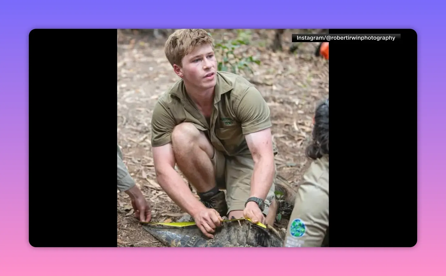 Person im Wald misst ein Tier mit einem Maßband, praktische Feldarbeit