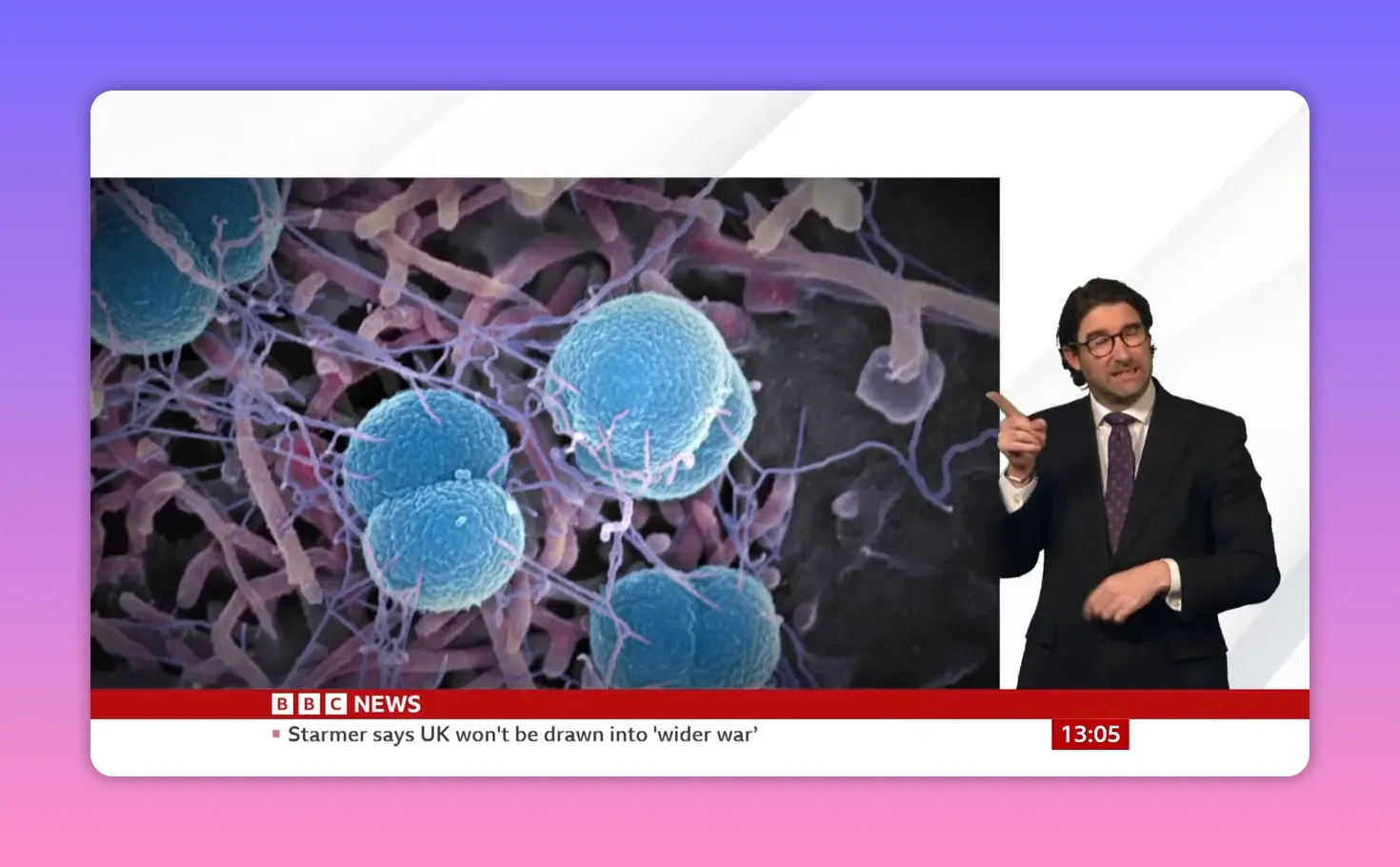 Gros plan micrographie de bactéries sphériques bleues associées à la méningite