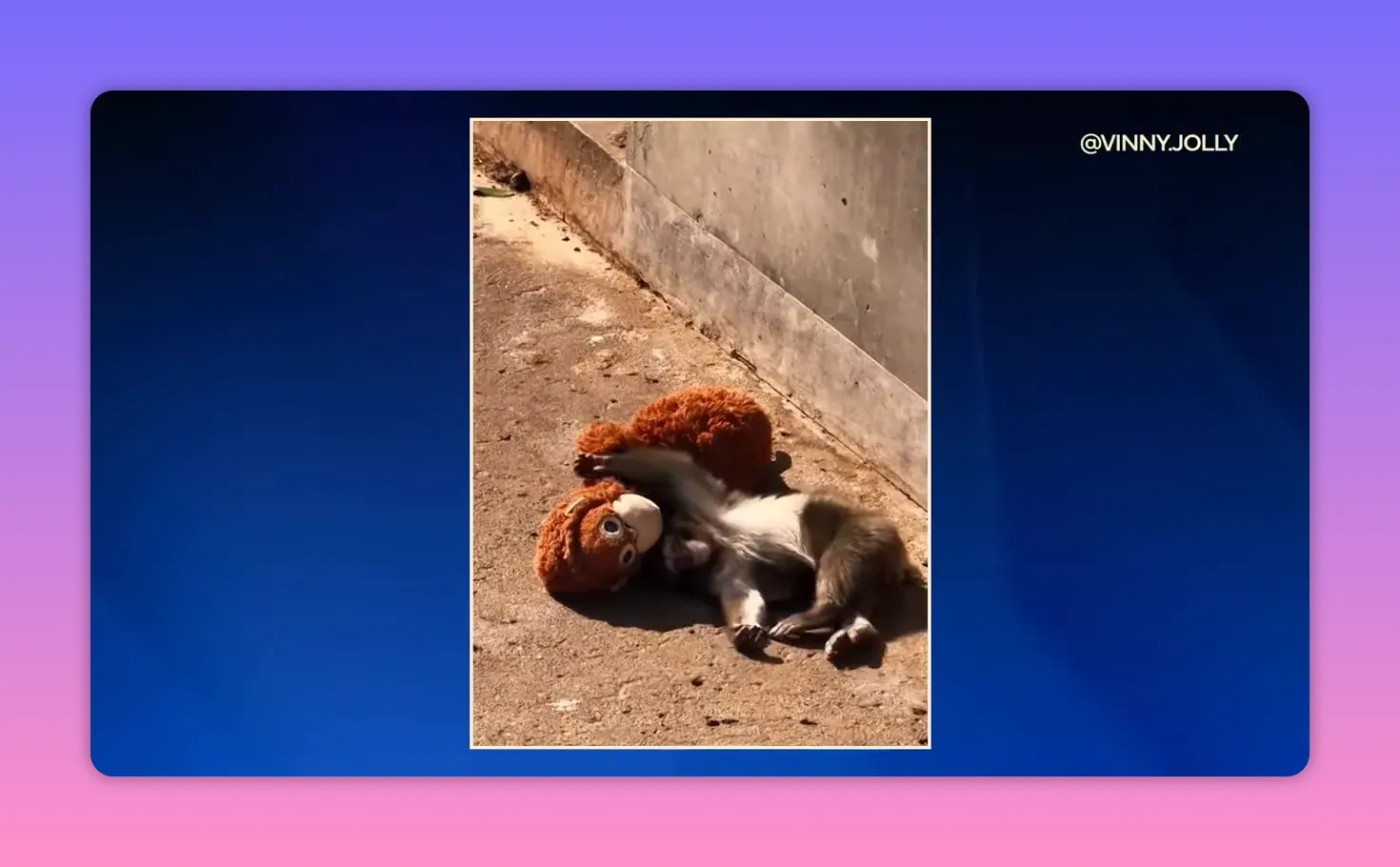 kleiner affe liegt spielend auf einem orangen stofftier