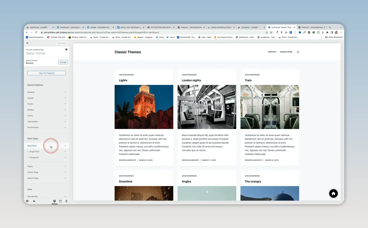 Giao diện WordPress Customizer hiển thị danh sách tùy chọn ở bên trái và trang mẫu ở bên phải
