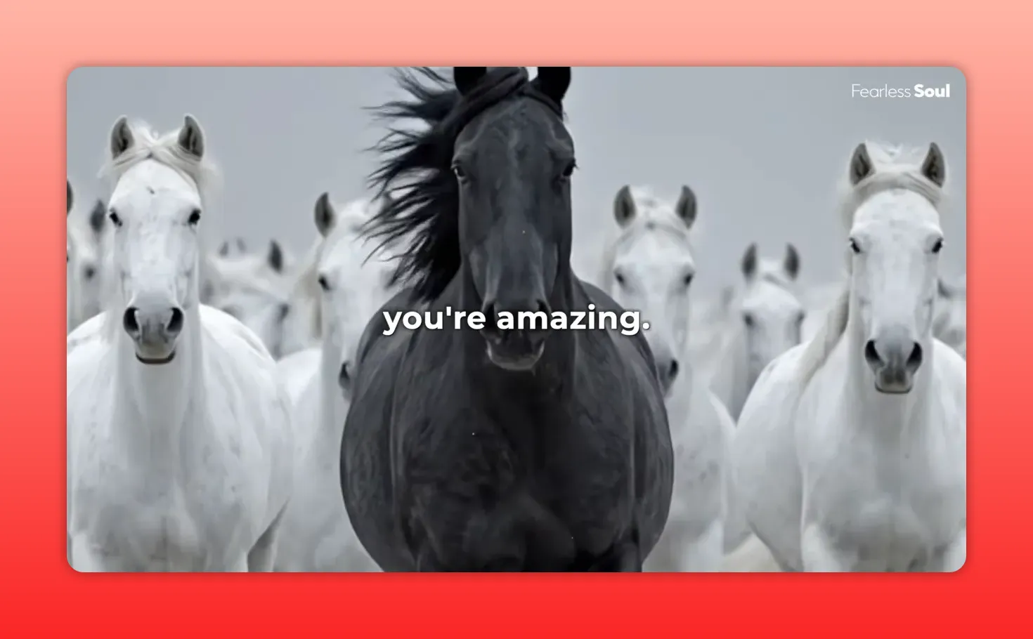 Branco di cavalli al galoppo con il cavallo nero centrale e la scritta bianca e ben leggibile 