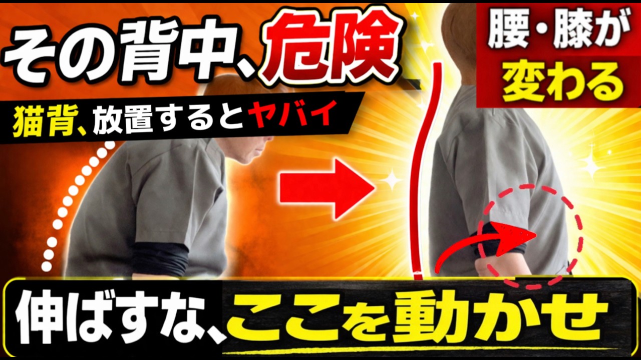 video thumbnail for '【背中が丸い人へ】痛みは姿勢の問題じゃない〇〇が原因｜伸ばさず出来る簡単セルフケア｜大阪天王寺区あんじ整体研究所'