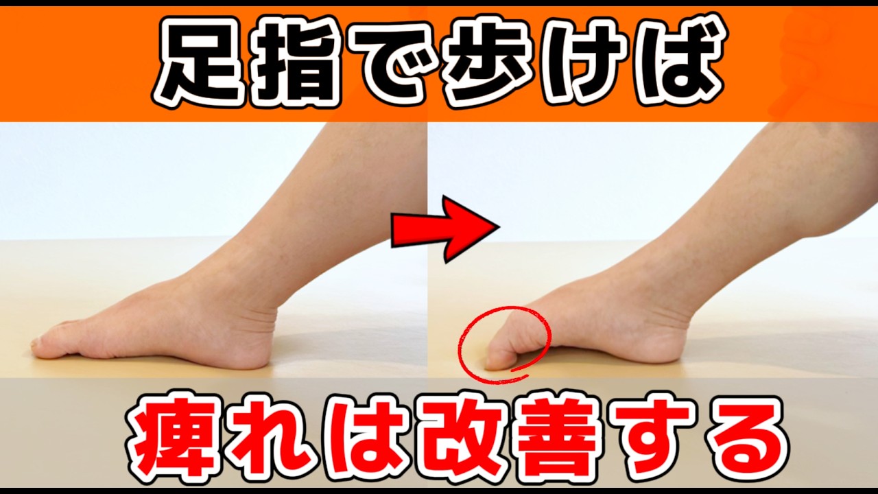 video thumbnail for '【坐骨神経痛】坐骨神経痛の原因はお尻じゃない？足が痺れる本当の原因は〇〇の動き｜簡単改善セルケア｜坐骨神経痛、お尻だけじゃないです｜脚が重い本当の原因｜大阪天王寺区あんじ整体院'
