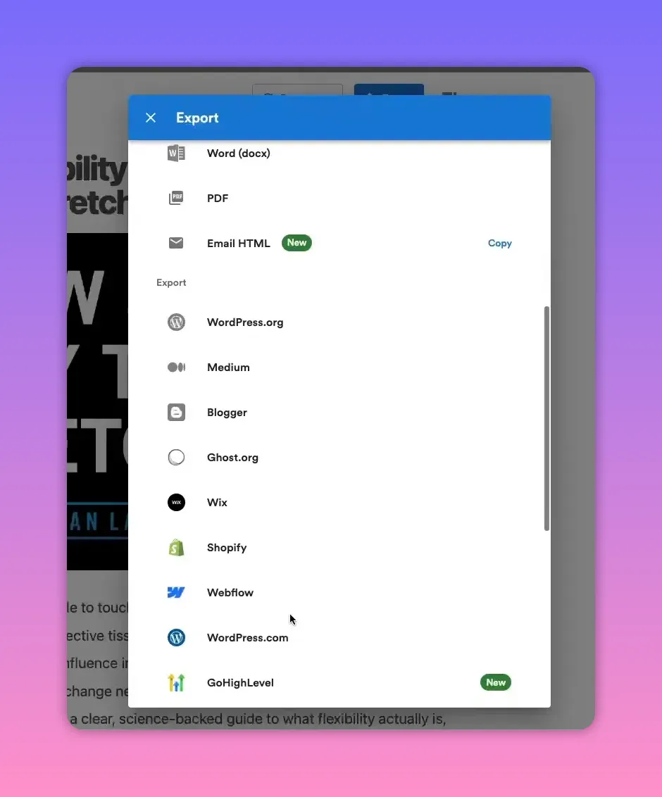 Export dialog with file type and platform export options visible alongside article preview