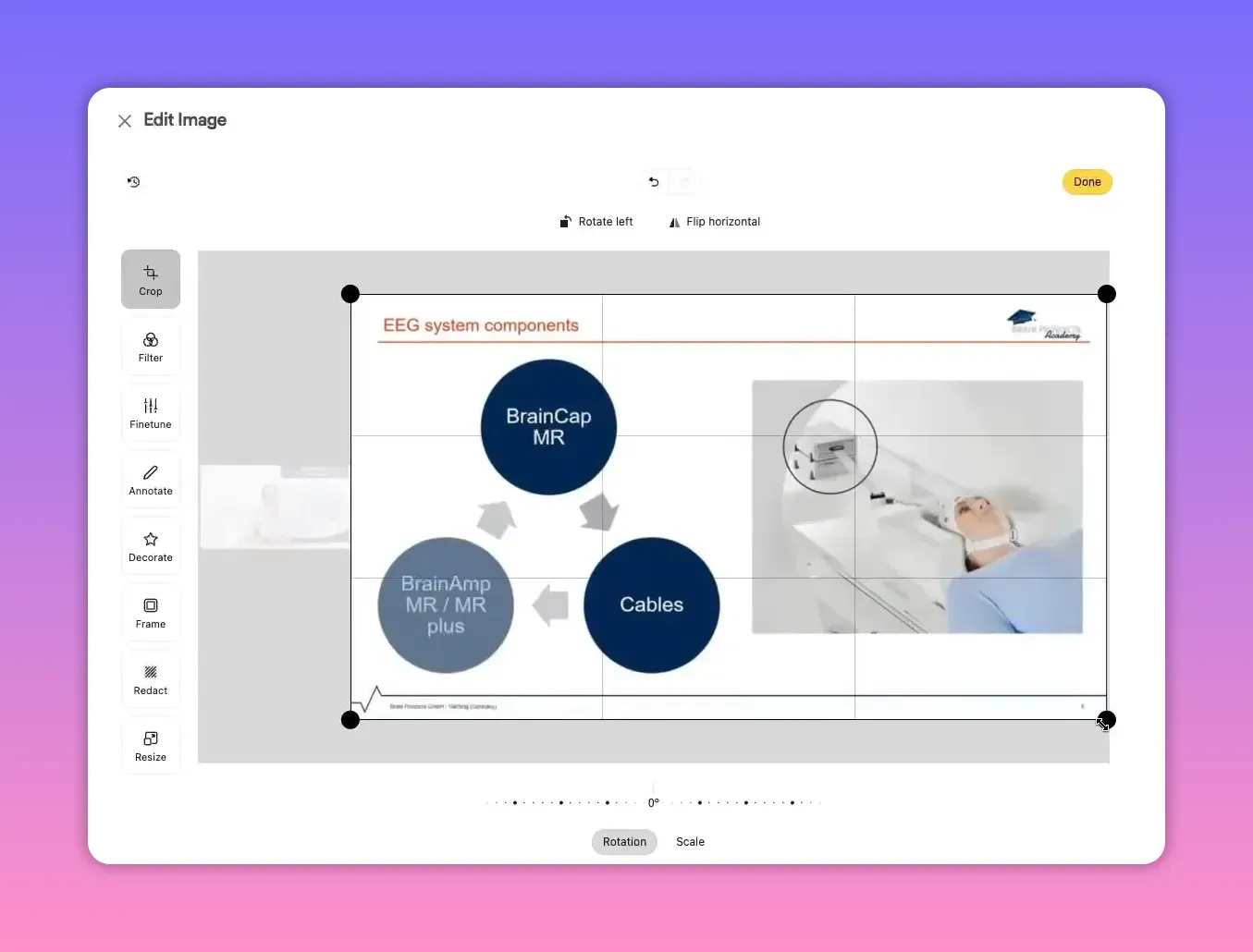 Clear view of an image crop interface with an EEG slide centered and crop handles visible.
