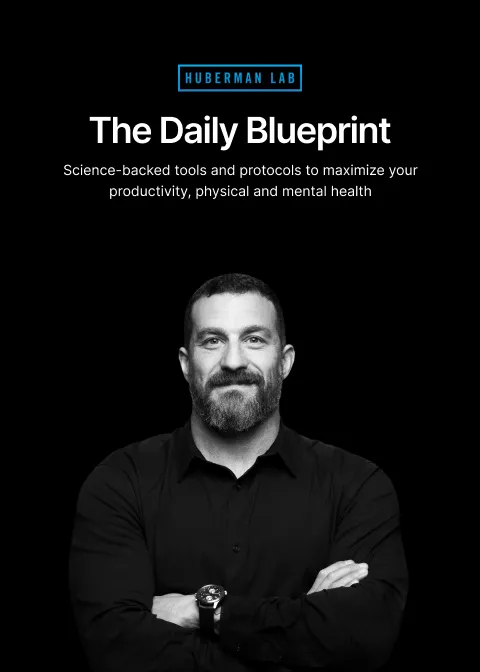Sign up to get Andrew’s Daily Blueprint