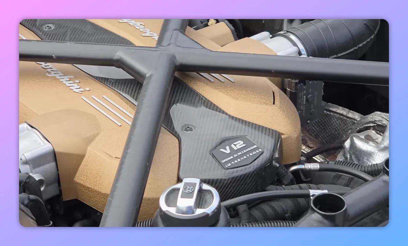 Dettaglio copertura motore V12 Lamborghini con targhetta