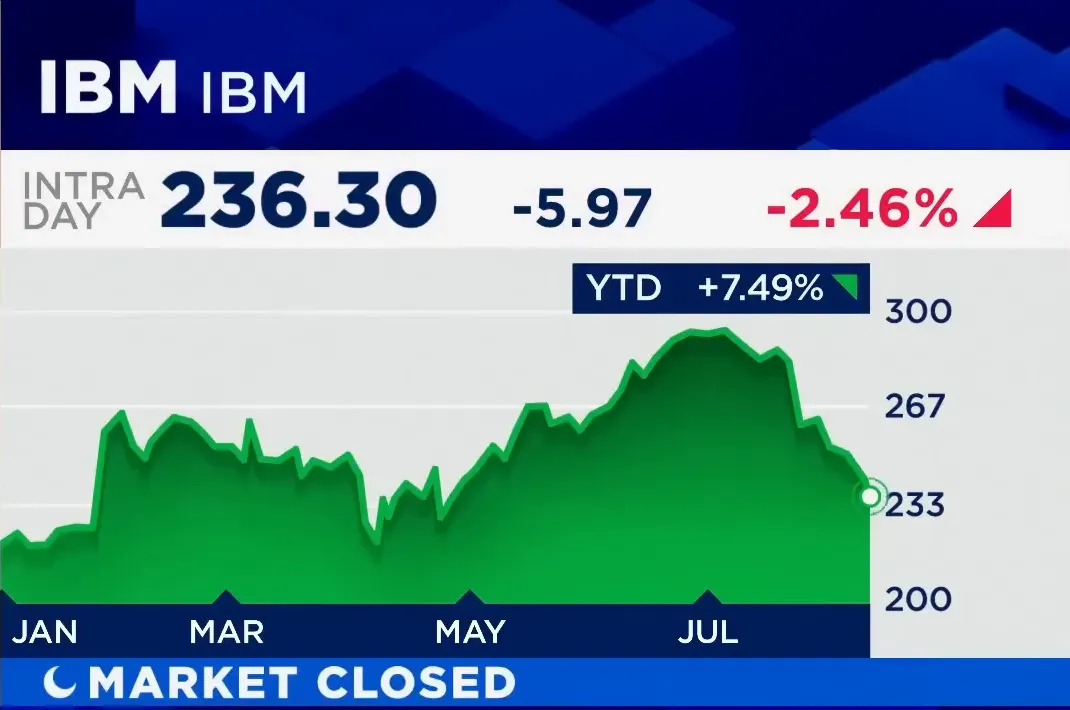 IBM and Palantir discussed as contrasting AI plays