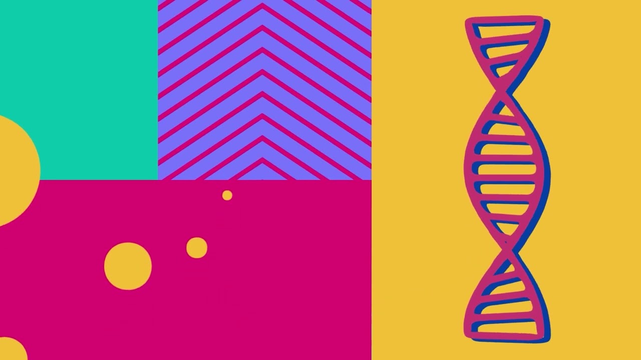 video thumbnail for 'Telekom HR Factbook 2025 (de)'