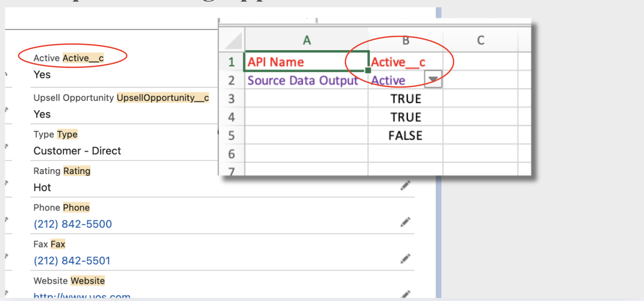 Salesforce Data Migrating Mapping Example