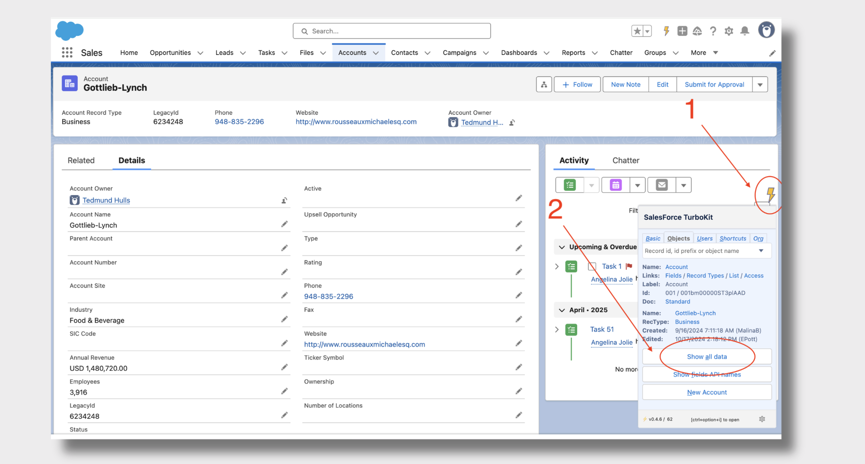 Salesforce TurboKit and Inspector Reloaded Show All Data to view field API Names