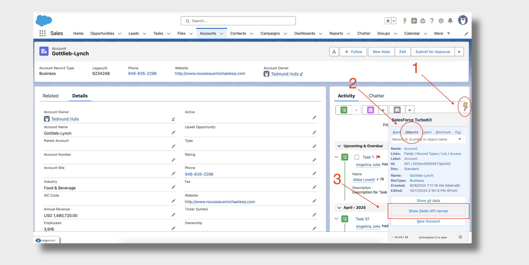 Salesforce Data Migration - Using TurboKit and Inspector to Display API Field Names