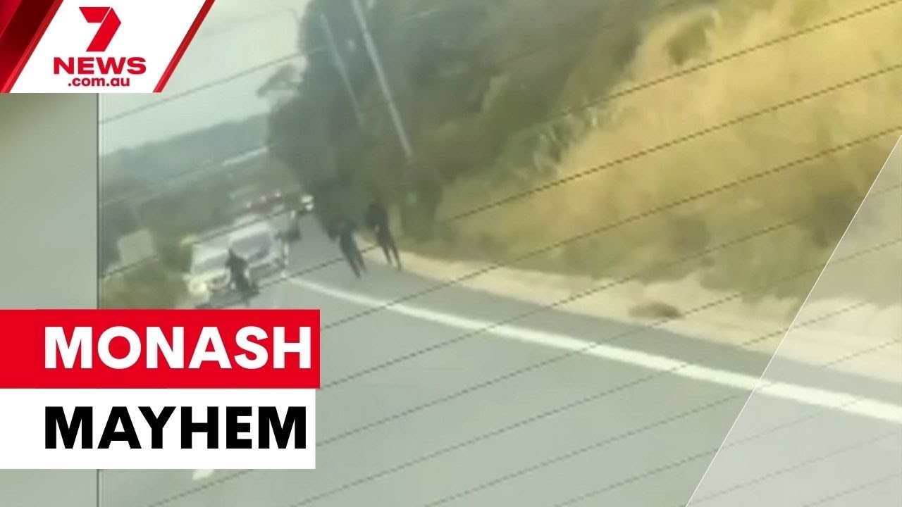 video thumbnail for 'Machete madness on Monash Freeway | 7NEWS'