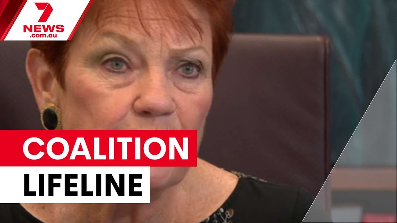video thumbnail for 'Hanson offers One Nation support to fractured Coalition | 7NEWS'