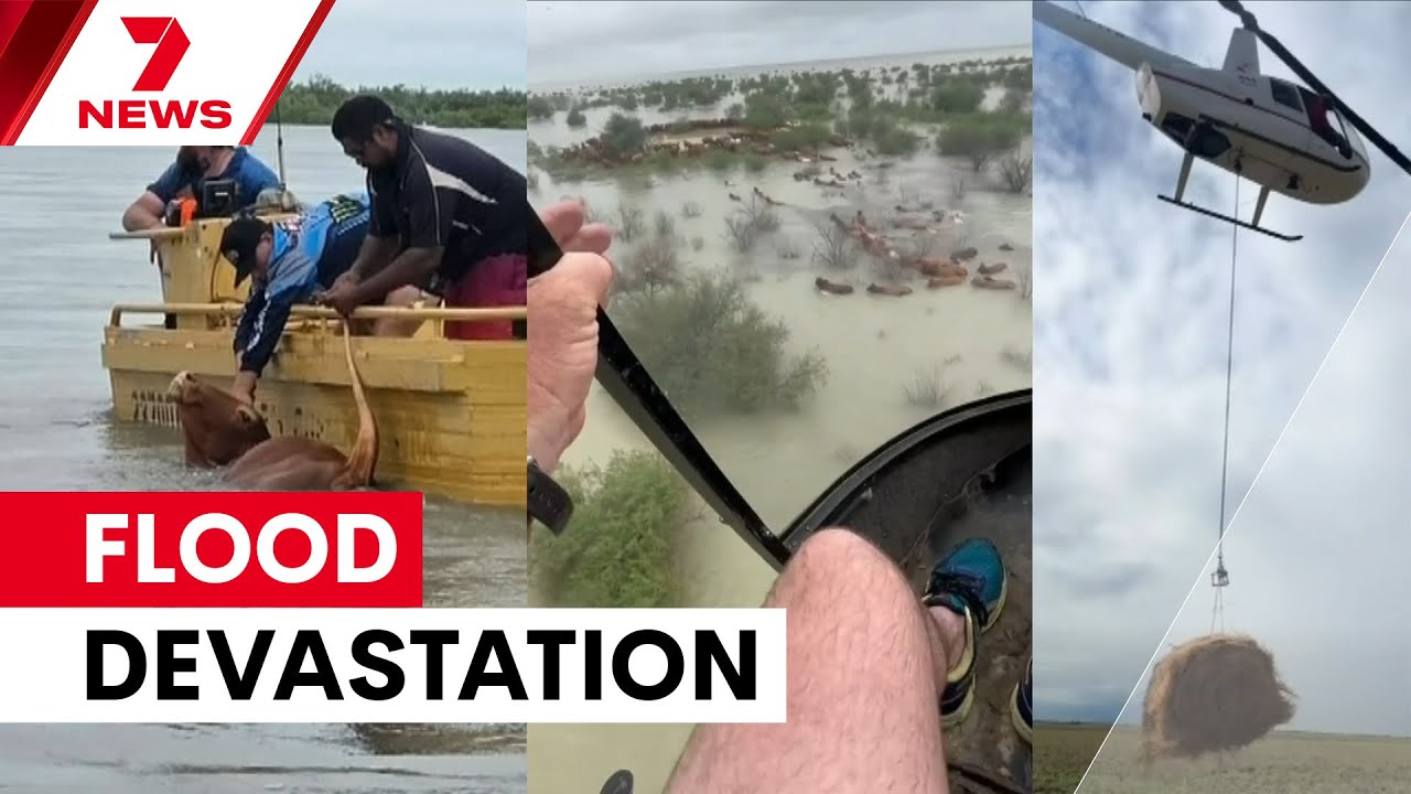 video thumbnail for 'Thousands of cattle lost in Queensland floods | 7NEWS'