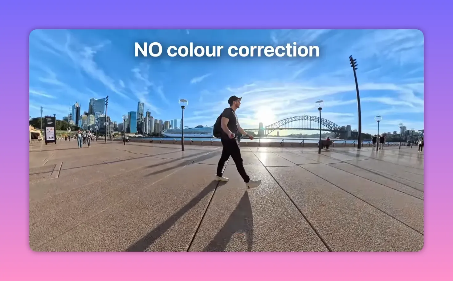 360 waterfront image labeled 'NO colour correction' showing a person walking, the Harbour Bridge and vivid blue sky demonstrating straight-out-of-camera color.