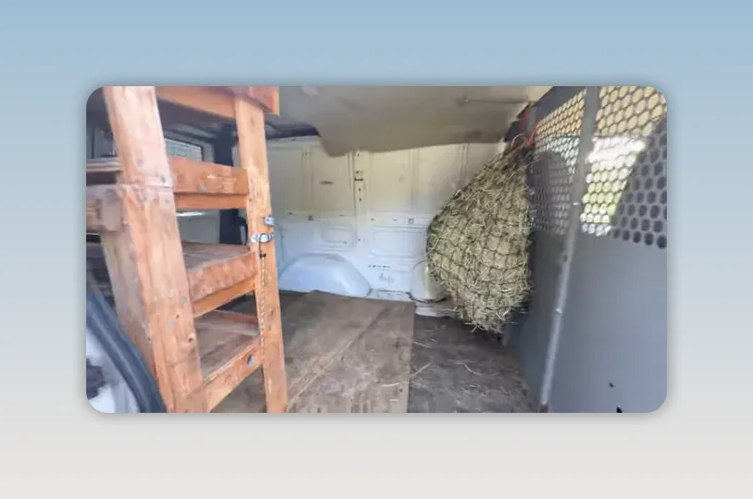 Van cargo area with wooden shelving, plywood flooring, metal divider, and a hay bag hanging near the front