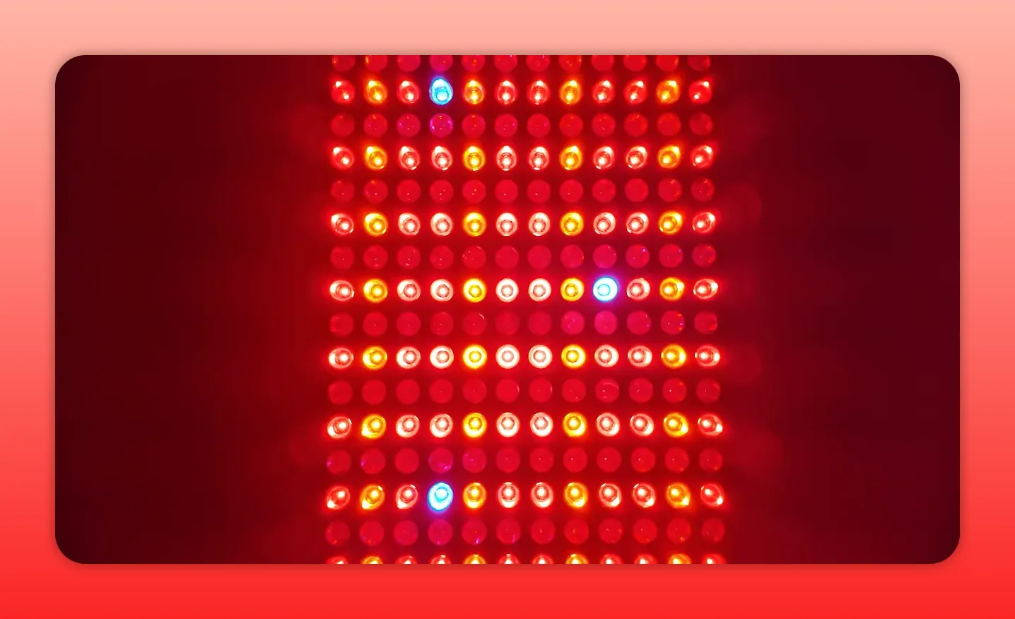 Close-up of red LED therapy panel with occasional blue/purple diodes visible among red LEDs