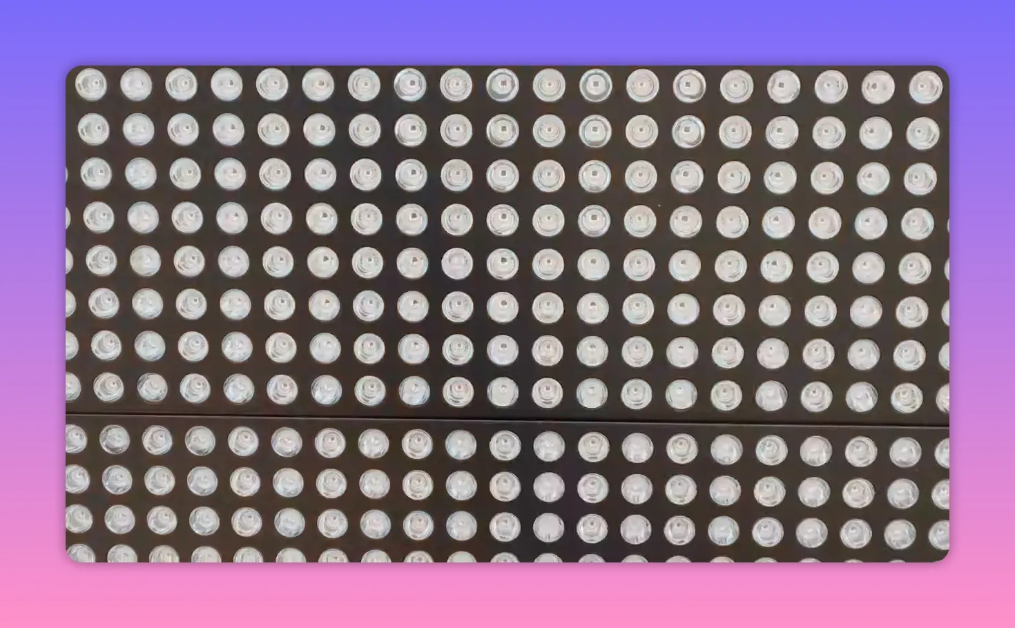 Close-up of an LED array on a red light therapy panel showing individual LEDs.