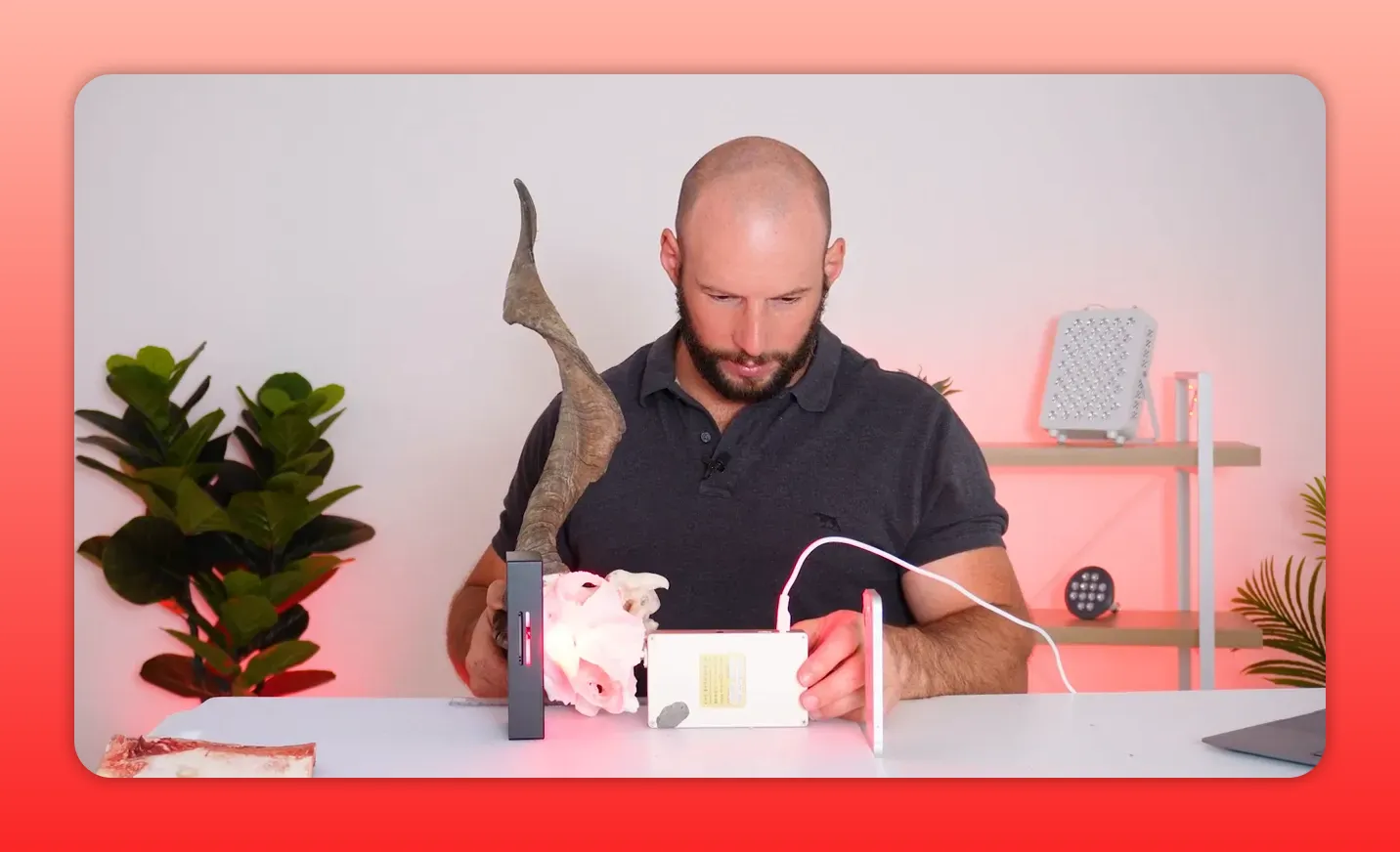 Presenter holding a goat skull with a red/near‑infrared emitter pressed to the jaw; internal cavities glowing and measurement devices on the table.