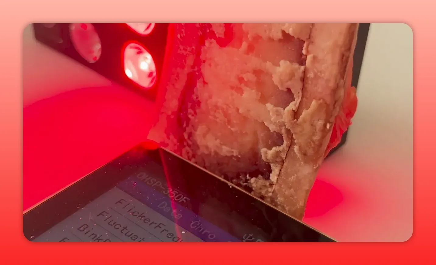 Tibia bone cross-section with marrow near spectrometer display under red light