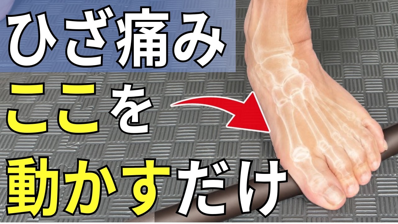 video thumbnail for 'ひざの痛みはここが動かないと治らないです | 大阪市都島区 さかとう整骨院'