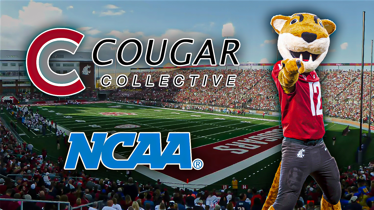 Featured image for the blog, "WSU Cougar Collective Reacts to $2.8B NCAA Settlement: Insights from Tim Brandle"