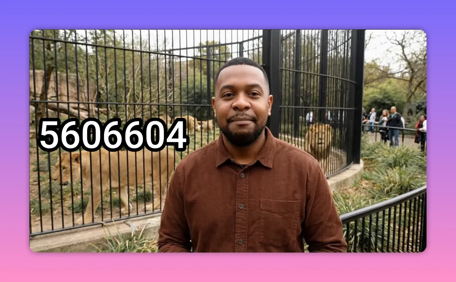 Downloader app installation code 5606604 displayed during streaming app setup
