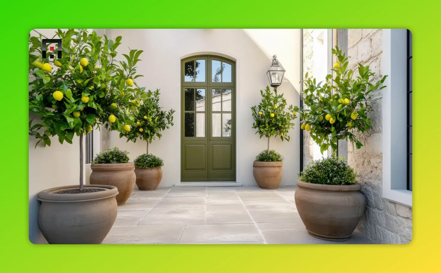 Mediterranean front entry with terracotta pots, lemon trees, pale plaster walls and stone paving