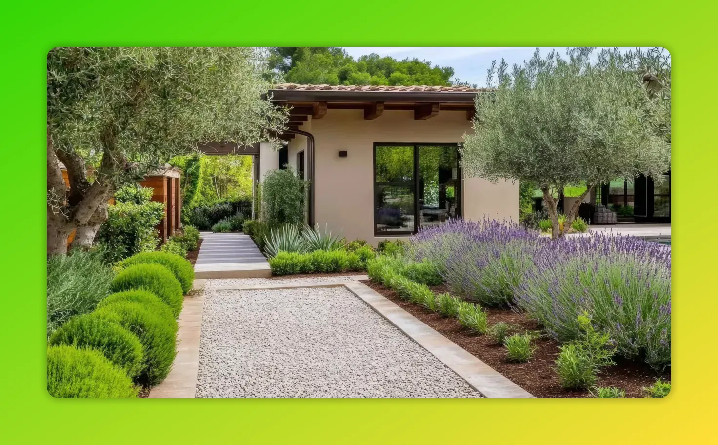 Mediterranean garden with olive trees, lavender borders and a gravel walkway leading to a Tuscan-style house.