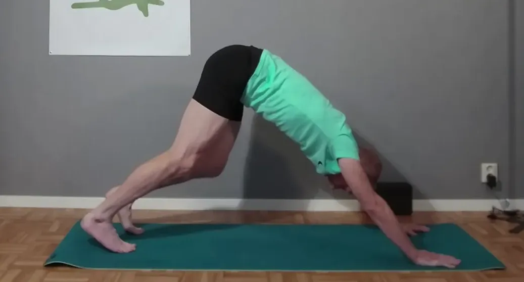 Hundens position