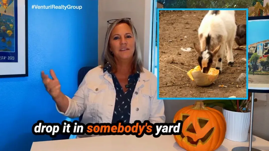 Pumpkins for livestock