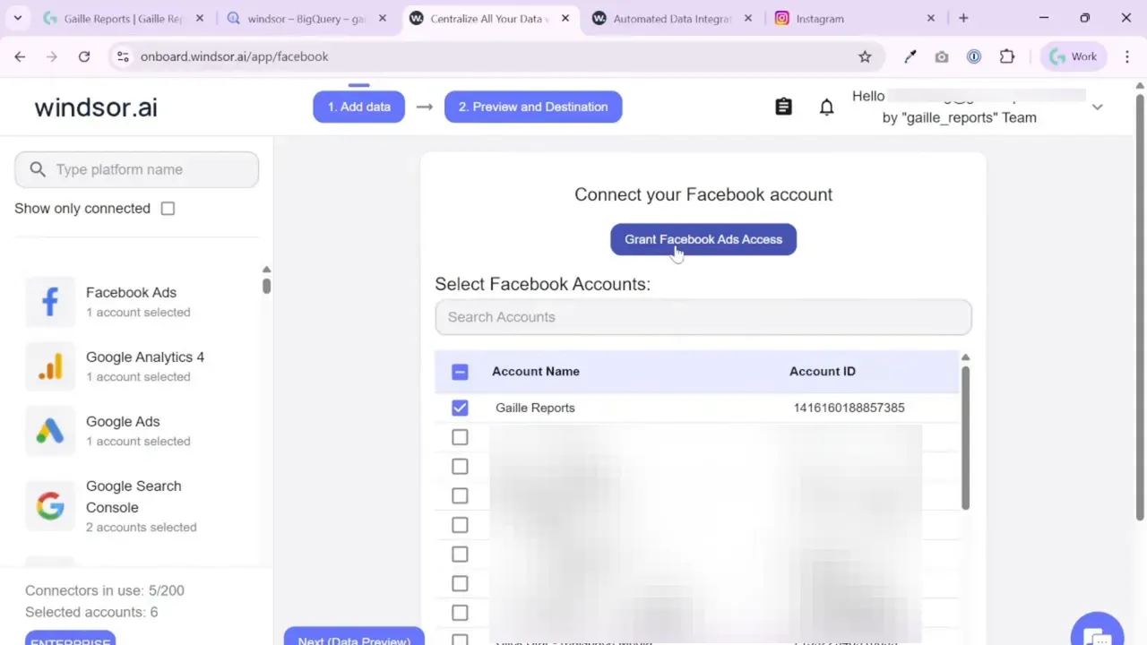 Windsor.ai onboarding screen showing 'Connect your Facebook account' with a 'Grant Facebook Ads Access' button and a list of Facebook ad accounts (checkboxes and account IDs).