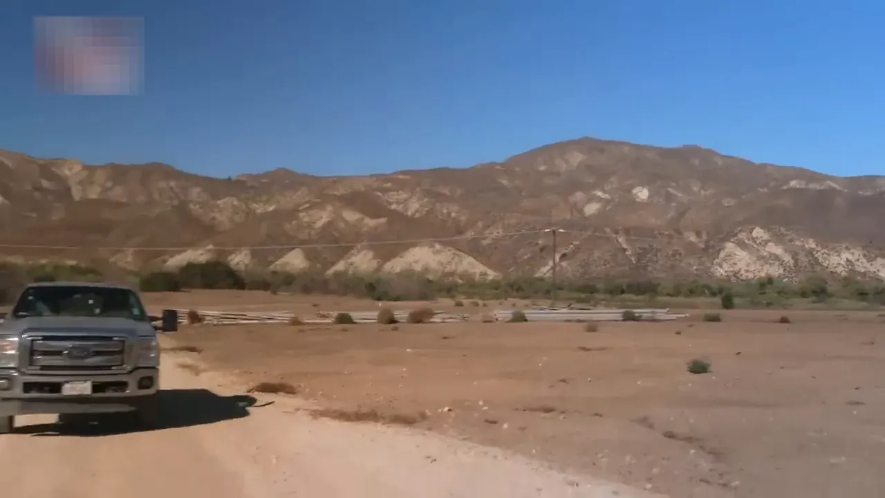 Empty jalapeño fields where peppers used to grow