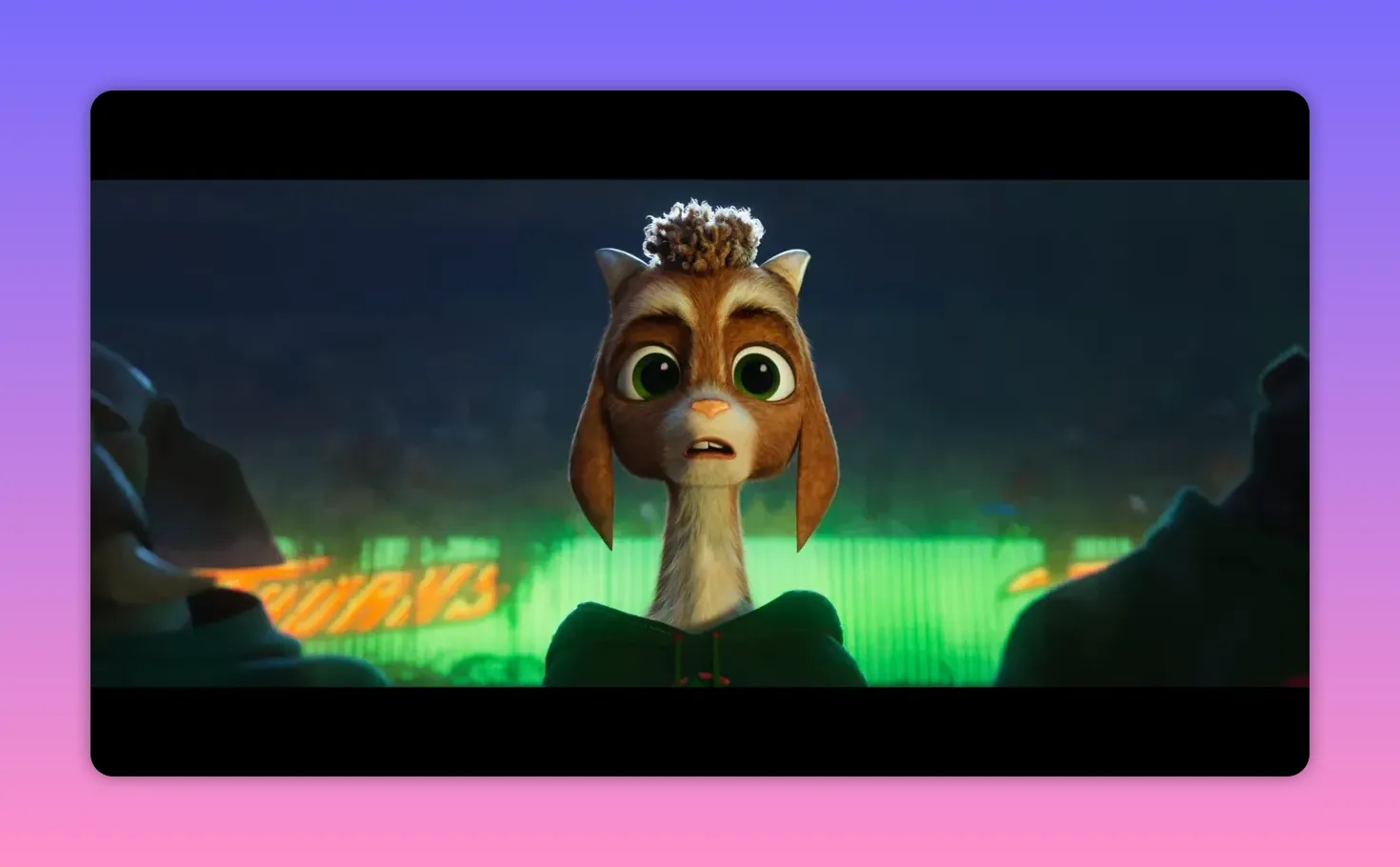 Close-up of Will the small goat with wide eyes and surprised expression