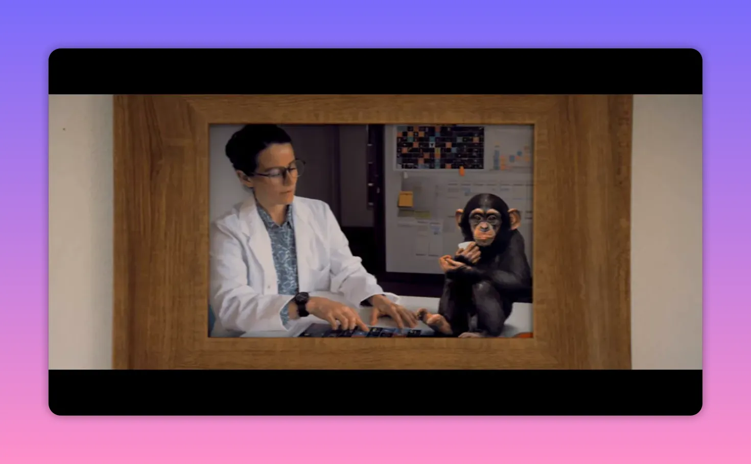 Young chimpanzee sitting next to a woman at a desk, shown inside a wooden frame