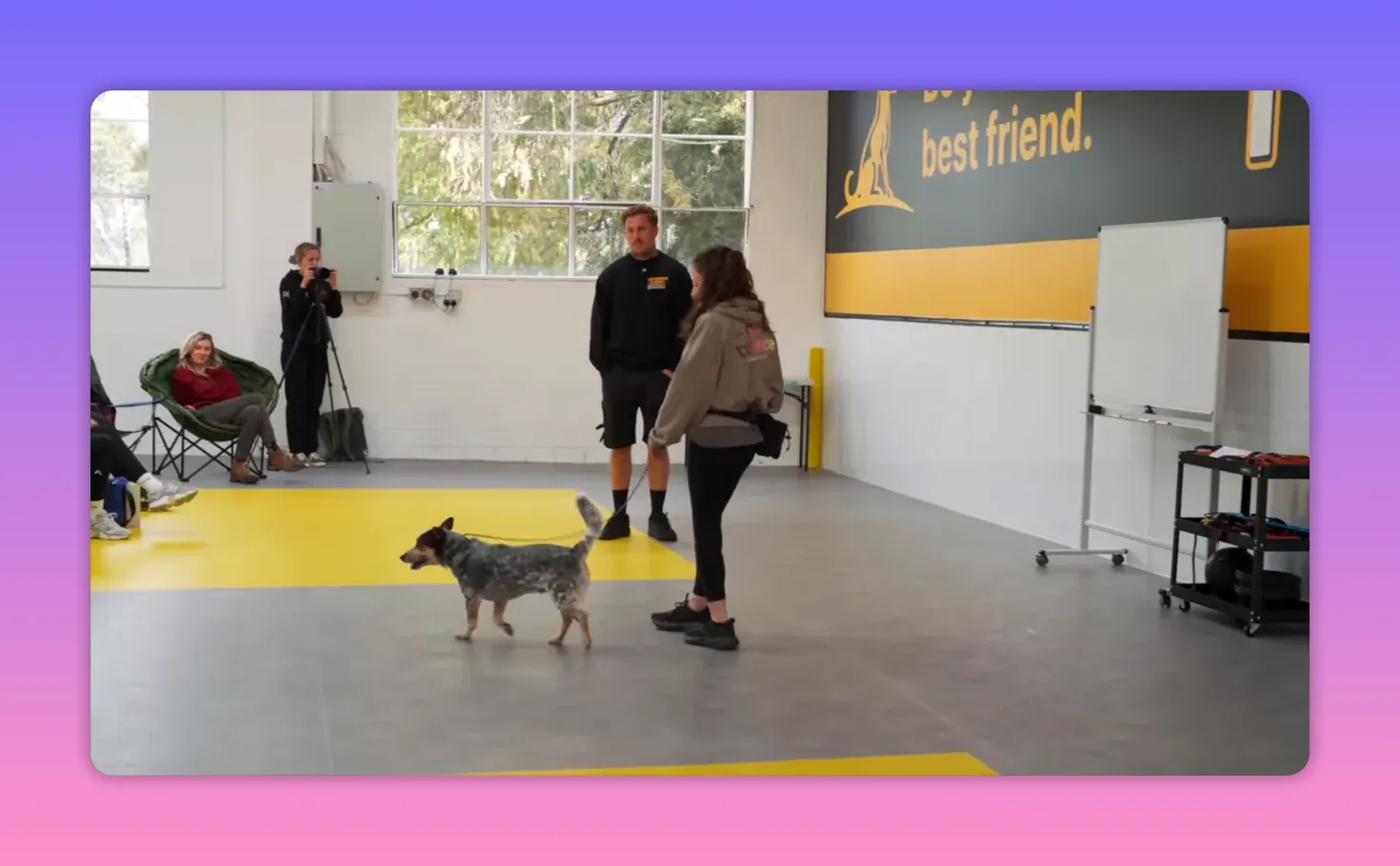 Handler giving a high-value reward to a happy dog during a jackpot-style training demonstration.