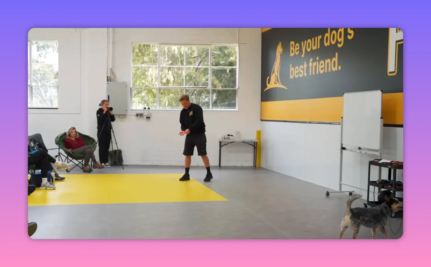 trainer standing centre-stage preparing to mark and reward while the dog and audience look on