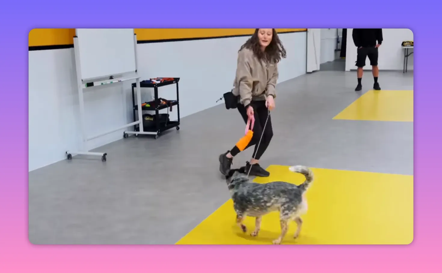Handler moving dynamically with a small dog on a leash, holding a toy in an indoor training facility.