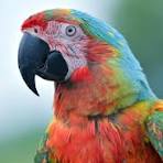 Jpg Images - Free Download on Freepik