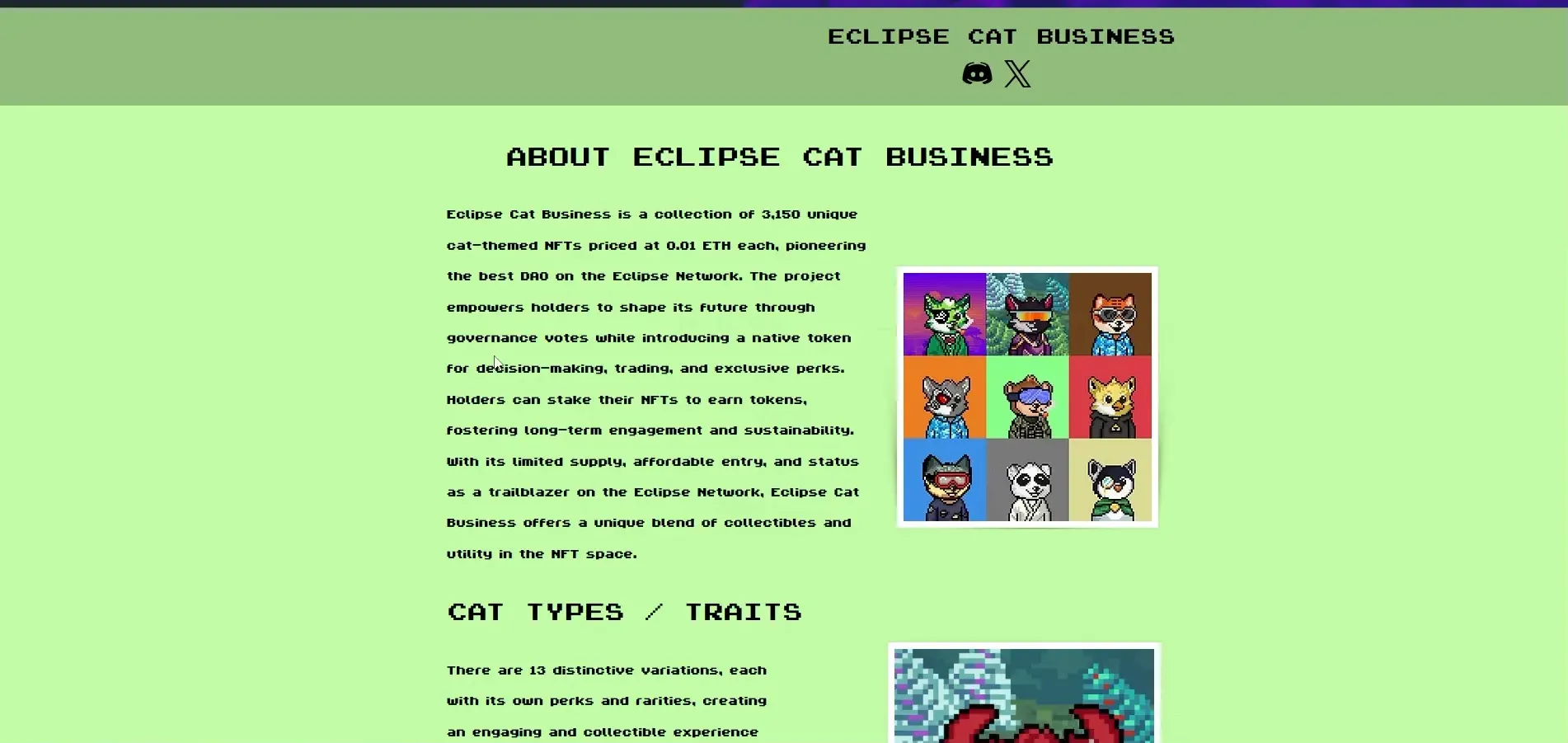 Eclipse Cat Business NFT Sale Announcement