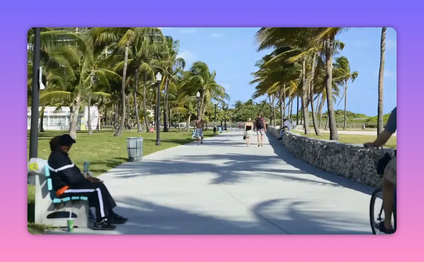 Walkers on a palm-lined driveway in sunny Miami