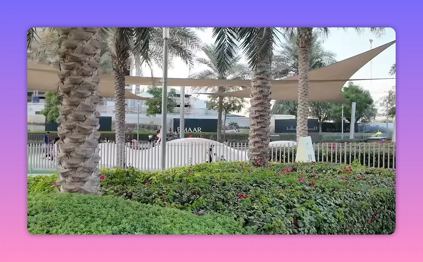 Dubai Hills landscaped garden with palm trees and white perimeter fence in view