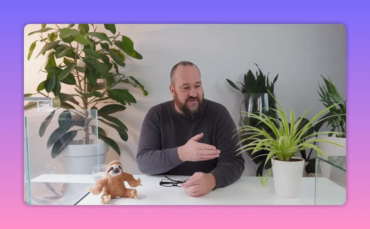 Zoo Zajac: Ein Neuanfang für Norberts Lebenswerk 2 Moderator macht eine erklärende Geste am Tisch mit Stofffaultier und Pflanzen