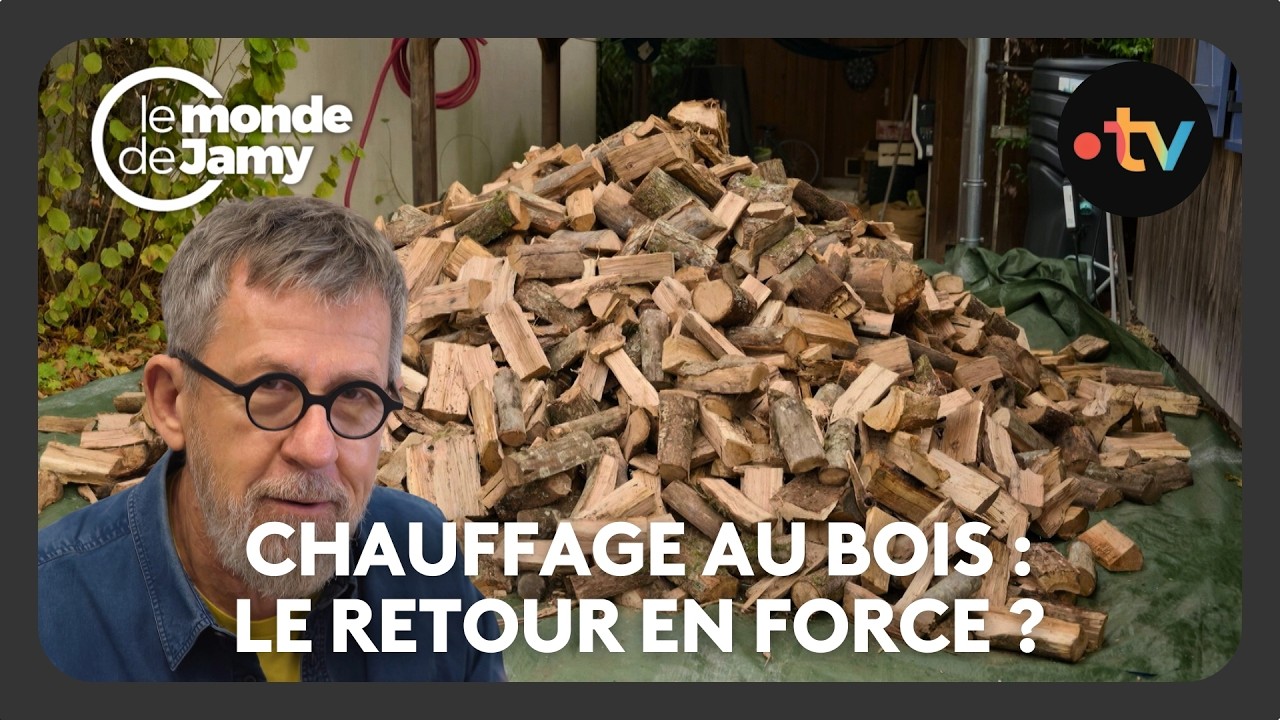 video thumbnail for 'Chauffage au bois : une bonne affaire mais pas toujours pour la planète - Le monde de Jamy'
