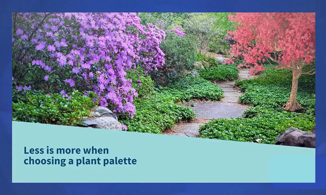 Commercial landscape bed with cohesive plant groupings and professional design