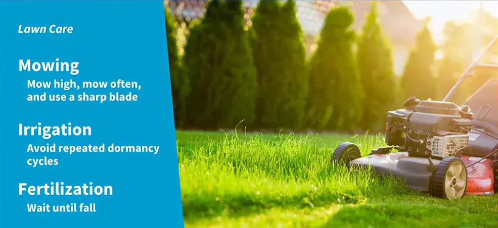 Mowing lawn with a mower lawn care clarksville